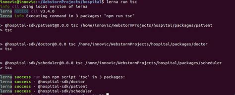 lerna test eslint un-resolved package|tsc .